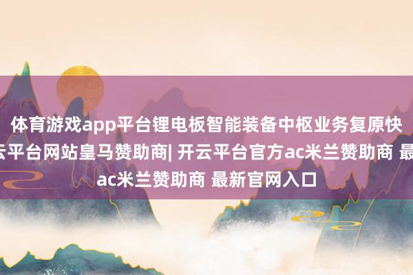体育游戏app平台锂电板智能装备中枢业务复原快速增长-开云平台网站皇马赞助商| 开云平台官方ac米兰赞助商 最新官网入口