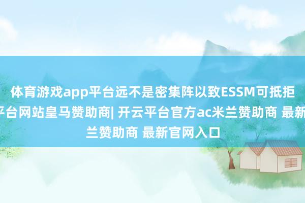体育游戏app平台远不是密集阵以致ESSM可抵拒的-开云平台网站皇马赞助商| 开云平台官方ac米兰赞助商 最新官网入口
