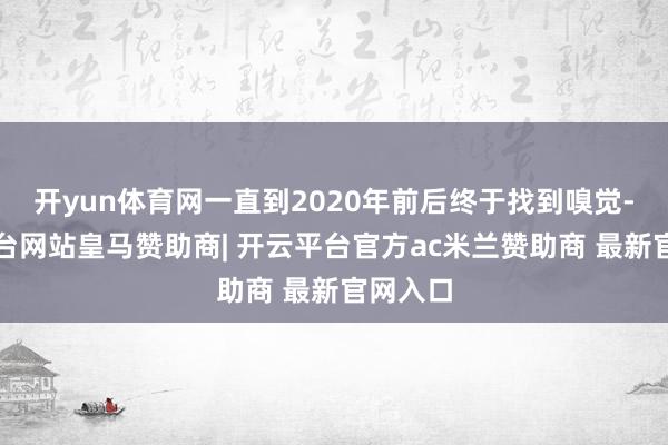 开yun体育网一直到2020年前后终于找到嗅觉-开云平台网站皇马赞助商| 开云平台官方ac米兰赞助商 最新官网入口