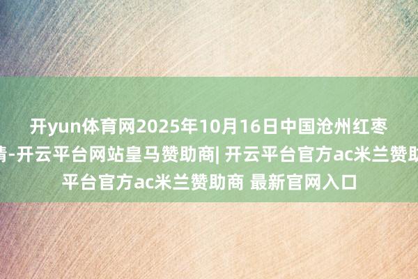 开yun体育网2025年10月16日中国沧州红枣批发阛阓价钱行情-开云平台网站皇马赞助商| 开云平台官方ac米兰赞助商 最新官网入口