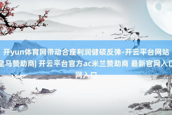 开yun体育网带动合座利润健硕反弹-开云平台网站皇马赞助商| 开云平台官方ac米兰赞助商 最新官网入口
