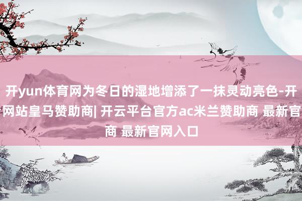 开yun体育网为冬日的湿地增添了一抹灵动亮色-开云平台网站皇马赞助商| 开云平台官方ac米兰赞助商 最新官网入口